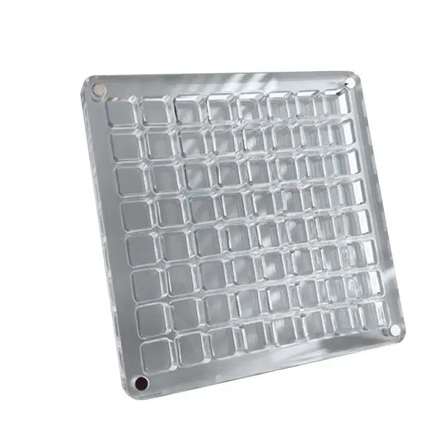 Caja de presentación de conchas marinas magnéticas de acrílico