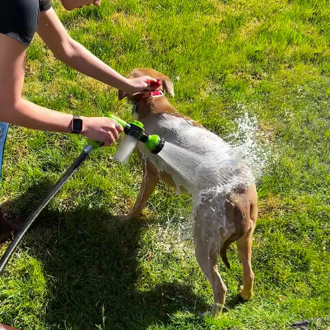 Accesorio de ducha con chorro para perros