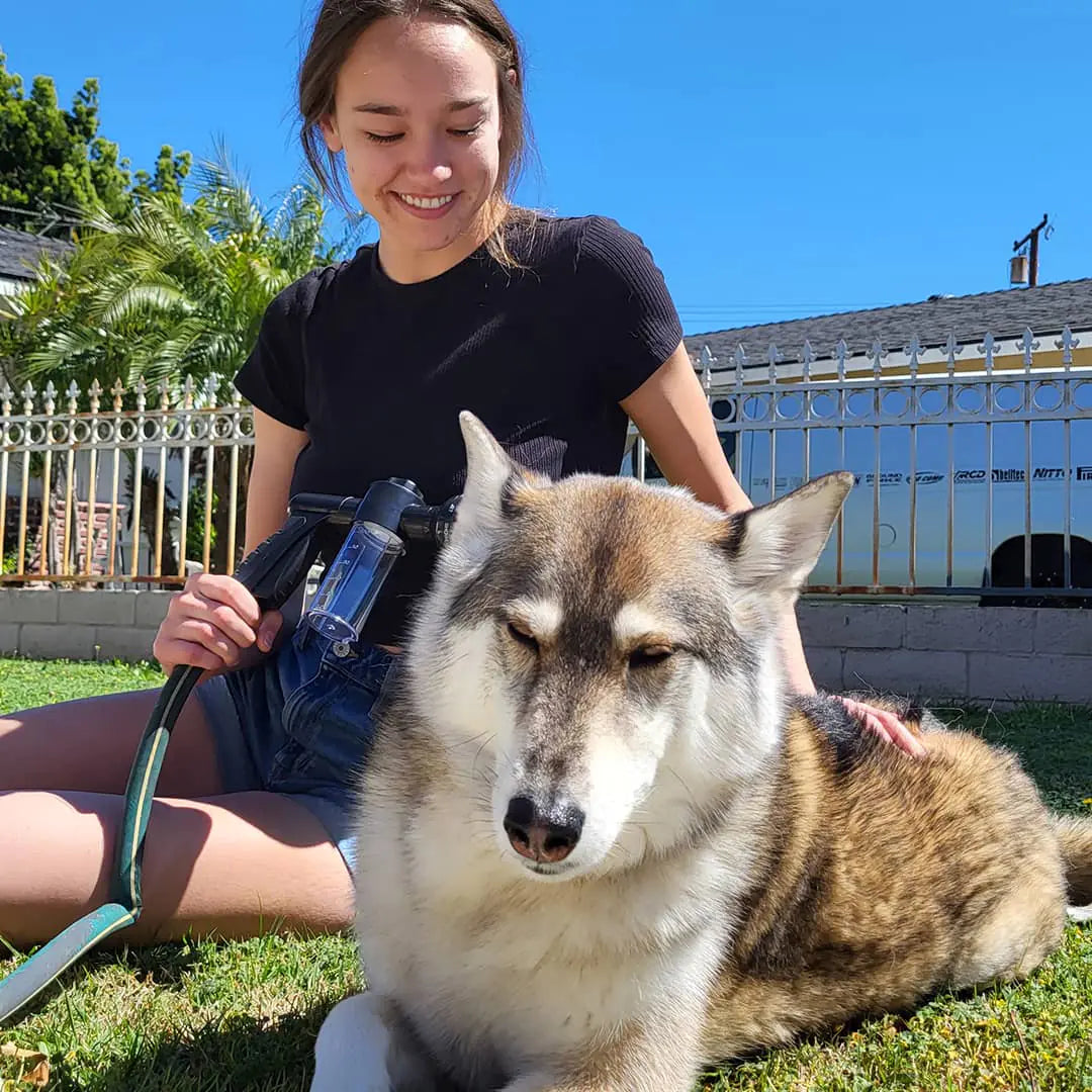 Accesorio de ducha con chorro para perros