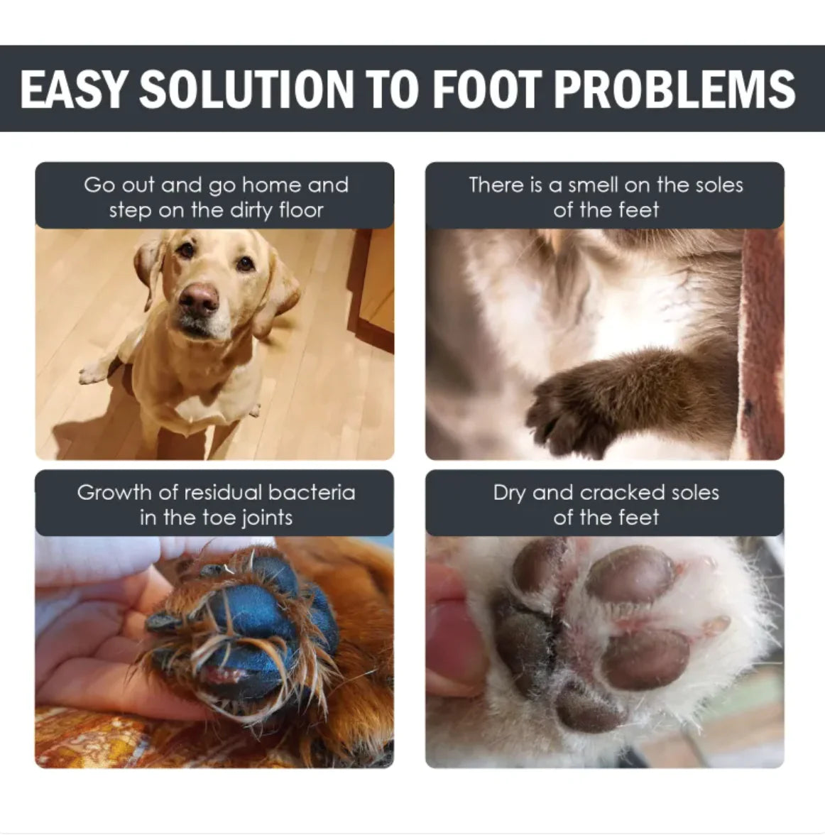 Alfombrilla para el cuidado de las patas de perro con solución de limpieza