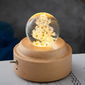 Luz LED de bola de cristal para la noche