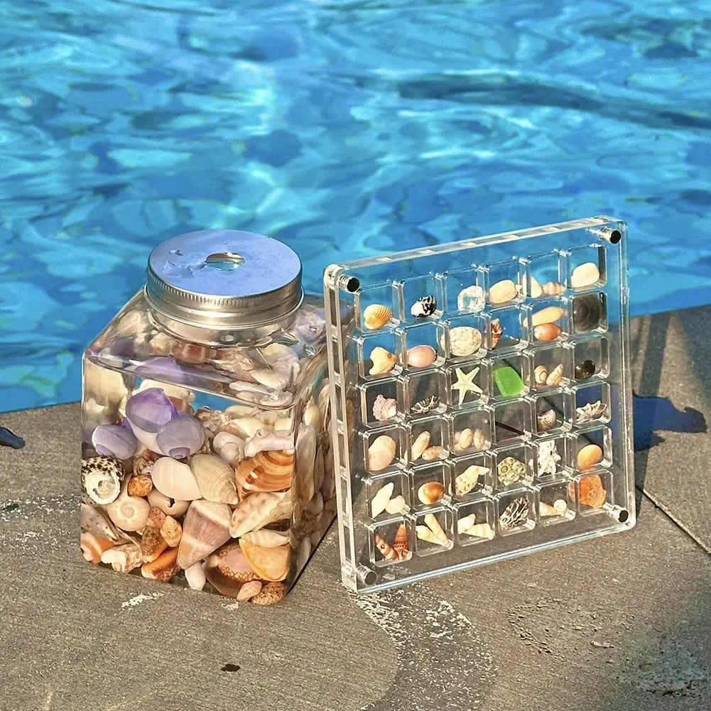 Caja de presentación de conchas marinas magnéticas de acrílico