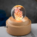 Luz LED de bola de cristal para la noche