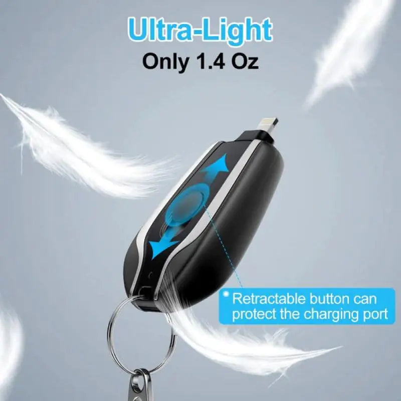 Zap Charge z Key Chain Charger