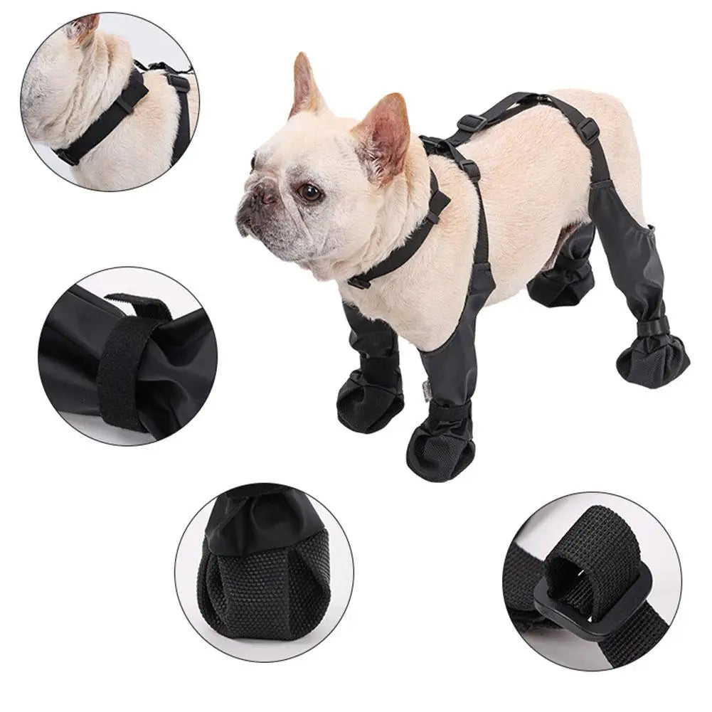 Zapatos antideslizantes para perros