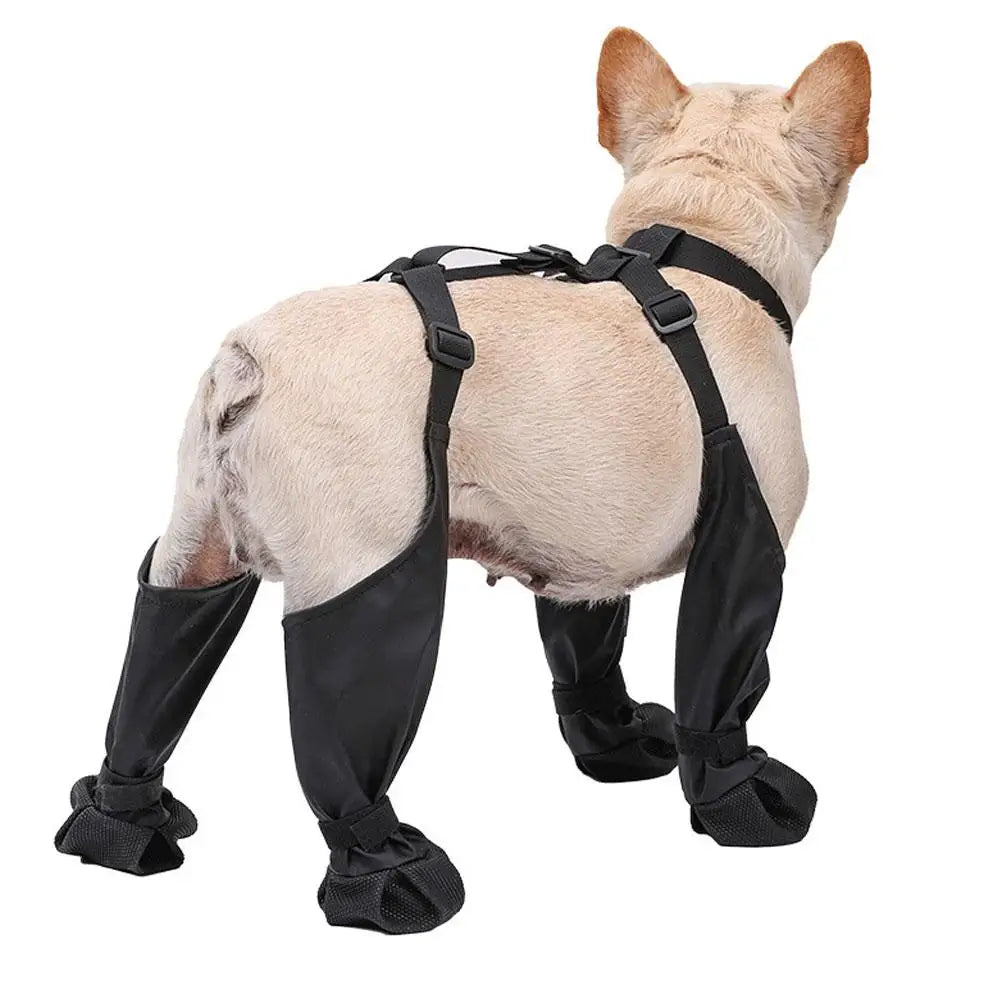 Zapatos antideslizantes para perros