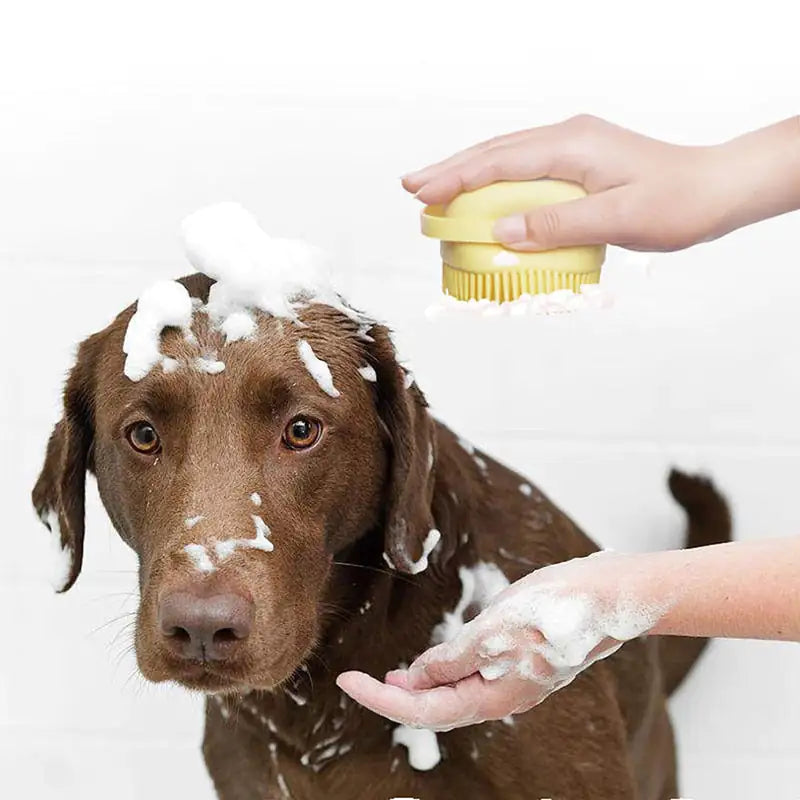 Cepillo de baño para mascotas 2 en 1 - CleanPet