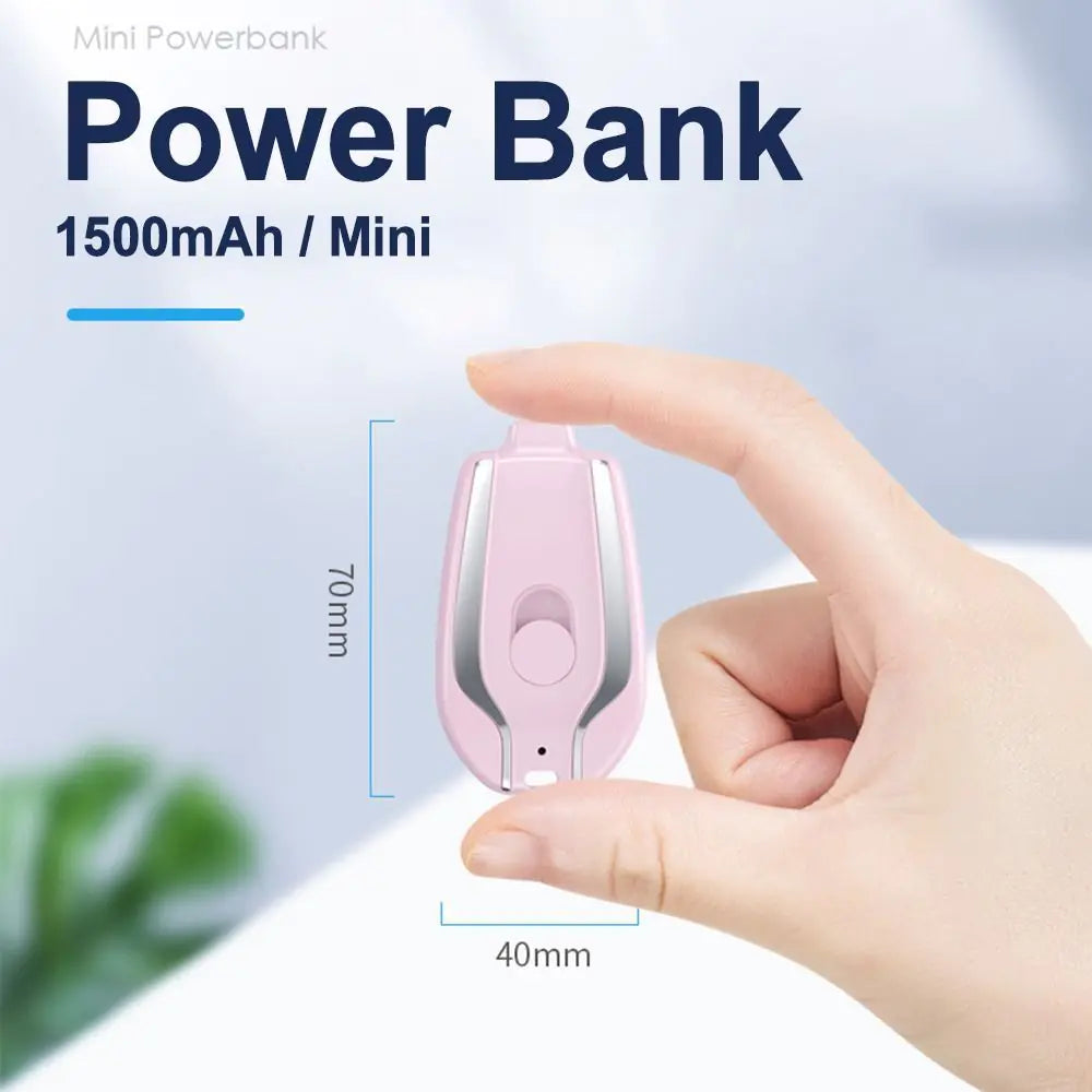Zap Charge z Key Chain Charger