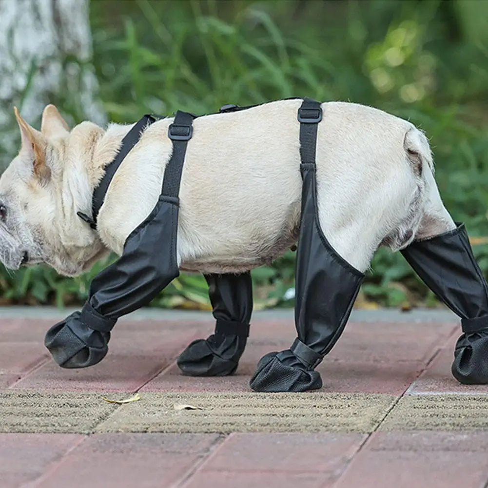 Zapatos antideslizantes para perros