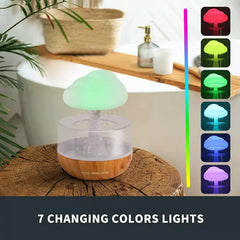 Aroma Diffuser Humidifier