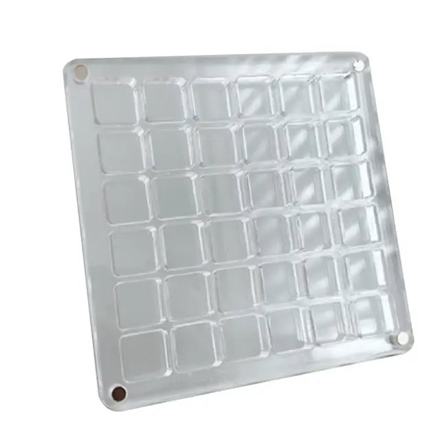 Caja de presentación de conchas marinas magnéticas de acrílico