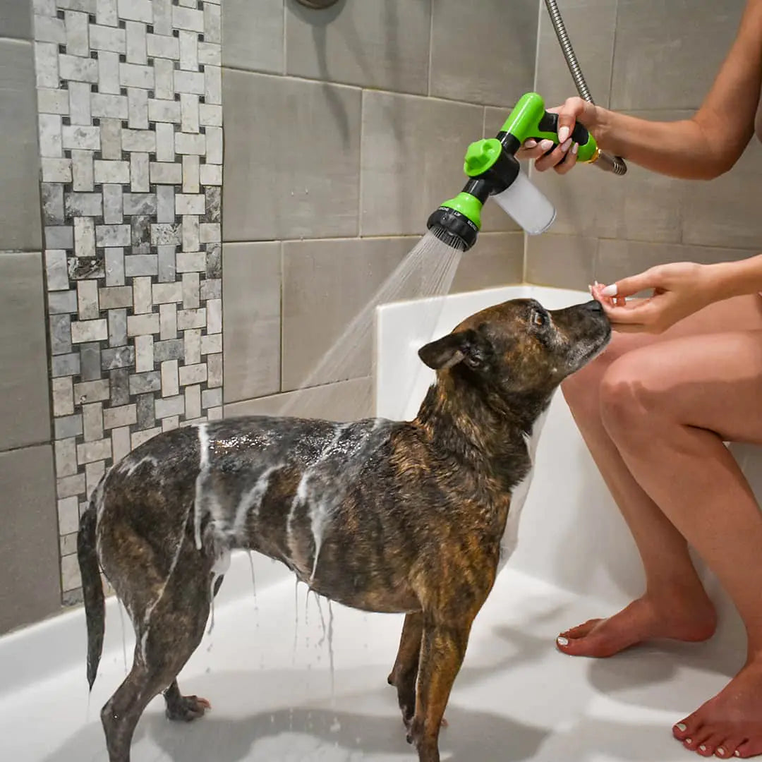 Accesorio de ducha con chorro para perros