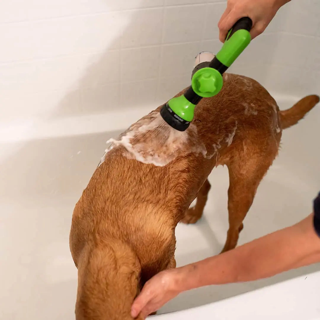 Accesorio de ducha con chorro para perros