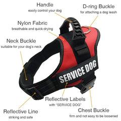 Adjustable Nylon Collar Vest