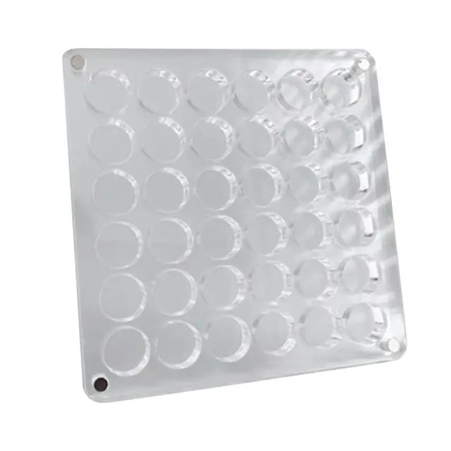 Caja de presentación de conchas marinas magnéticas de acrílico