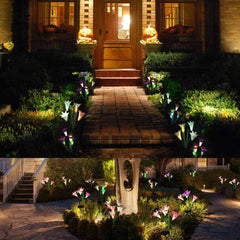 Elegant Eco-Friendly Enchanted Solar Lilies