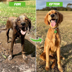 Dog Shower Jet Attachment