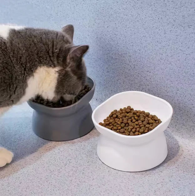 Comedero para mascotas inclinado 15°