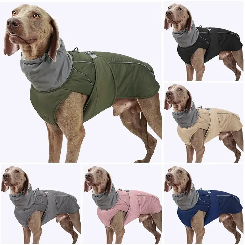 Ropa para perros Chaqueta de invierno de lujo