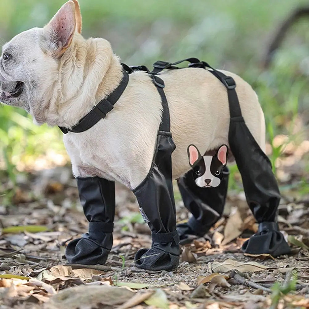 Zapatos antideslizantes para perros