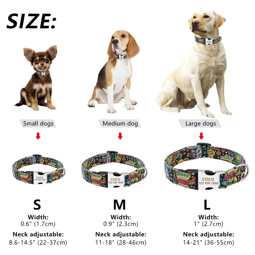 Dog Tag Collar Adjustable